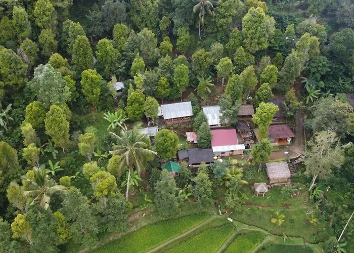 Friendly Lemukih